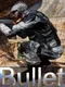 Bullets
