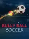 Bully Ball Soccer