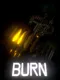 Burn