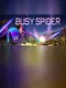 Busy Spider