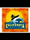 California Surfing