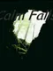 Calm Falls