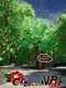 Camellia VR