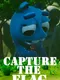 Capture the Flag