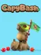 CapyBash