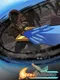 CaraVanguard