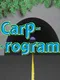 Carprogram