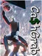 CashGrab