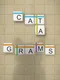 Catagrams