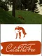 Catch The Fox