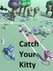Catch Your Kitty