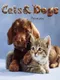Cats and Dogs 3D: Pets at Play