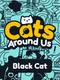 Cats Around Us: Black Cat