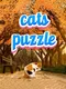 Cats Puzzle