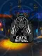 Cats Ritual