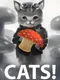 Cats!