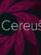 Cereus