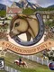 Championship Pony