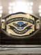 Championship Wrestling Promoter