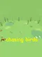 Chasing Birds