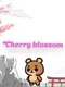 Cherry Blossom