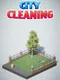 City Cleaning