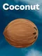 Coconut