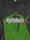 Colobus