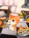 Cooking Cat-Astrophe