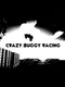 Crazy Buggy Racing