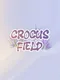Crocus Field