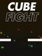 Cube Fight