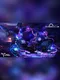 CyberClub-2077