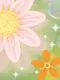 DaisyPop