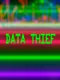 Data Thief
