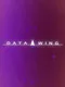 Data Wing