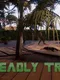 Deadly Tropics