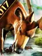 Deer Hunter 2017