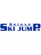 Deluxe Ski Jump 4