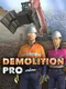 Demolition Pro Online