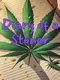 Diary of a Stoner