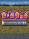Dig Dug Arrangement