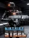 District Steel