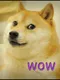 Doge Jump