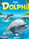 Dolphin Island