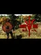 Don't Die: Survival