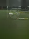 Draft Day Sports: Pro Golf