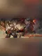 Dragon Battle