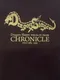 Dragon Slayer Chronicle