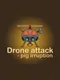 Drone Attack: Pig Irruption